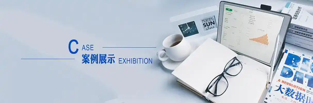 东阿县软件开发
